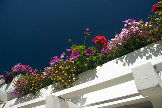 Butchart Garden in Victoria, British Columbia