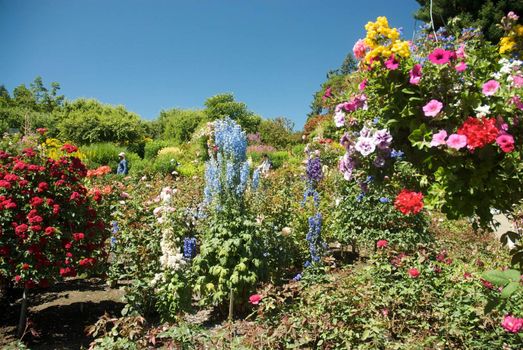 Butchart Garden in Victoria, British Columbia