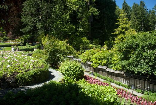 Butchart Garden in Victoria, British Columbia