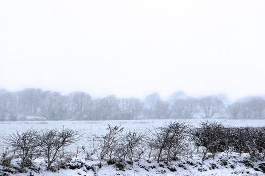 a snowy covered country scene in ballybunion ireland