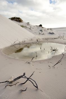 Small pond in desert scene, at the foot of a dune, with cloudy skies above