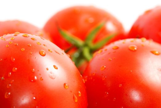 Fresh tomatoes on white background