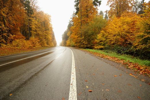 Photo of colorful autumn trees and road