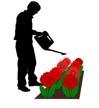 Illustrated silhouette man watering flowers
