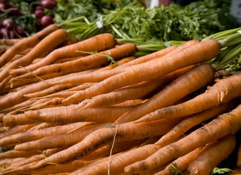 Several carrots on the foreground and some beets on the background.