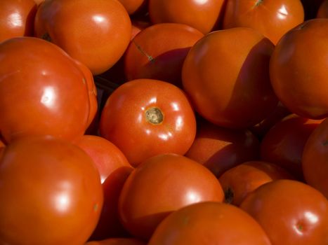 Close up on a bunch of red tomatoes.