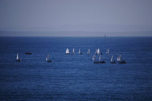 lots of sailing boats with sailing beginners near Cascais,Portugal