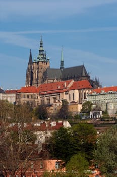 Cathedral of St Vitus in the Prague castle - the coronation cathedral of the Bohemian sovereigns, and the main of the Prague Roman - Catholic arcidiocese. The Gothic  building was founded in 1344. Prague, Czech republic, Europe, EU. 