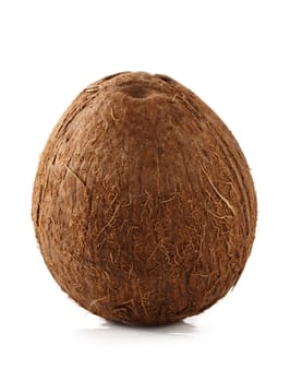 raw coconut on its shell, isolated on white