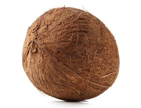 raw coconut on its shell, isolated on white