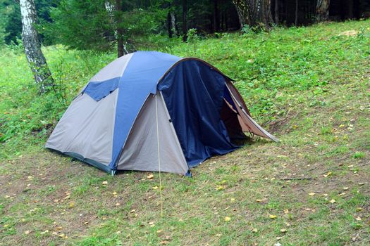 tent outdoors - camping in forest