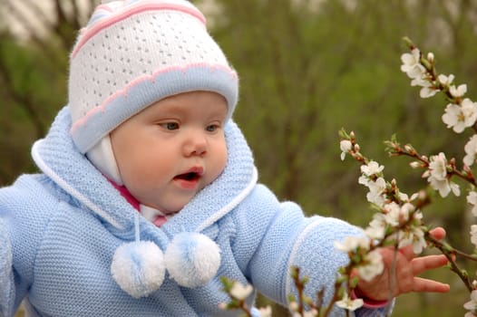 Pretty little girl play with cherry blossoms.