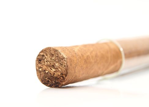 1 cigar in glass chamber, white background