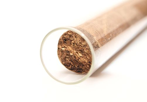 1 cigar in glass chamber, white background