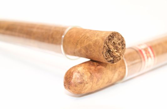 2 cigars in glass chambers, one on top of the other seen from front, white background