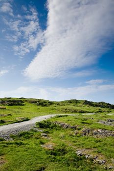 A nature trail over a meadow with a dark blue sky