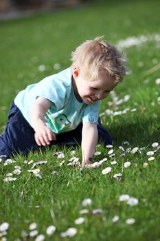 Small, happy blond boy in a green field and looks at the flowers


