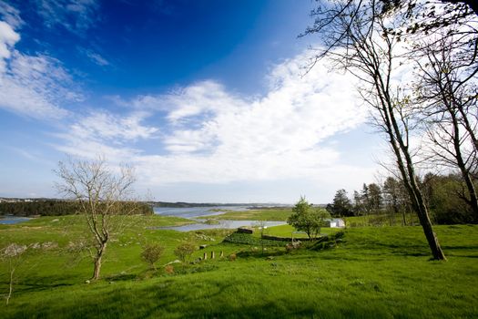 A coastal landscape with meadow and ocean