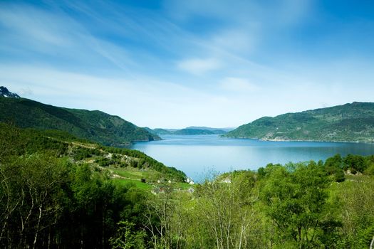 A coastal landscape with meadow and ocean