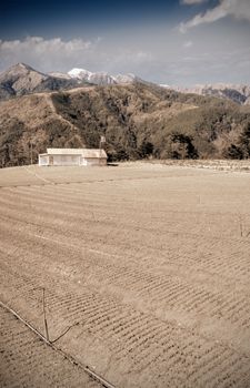 Agriculture field with soil pattern and single house.
