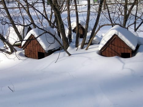 Three duck houses in zoo covered with snow
