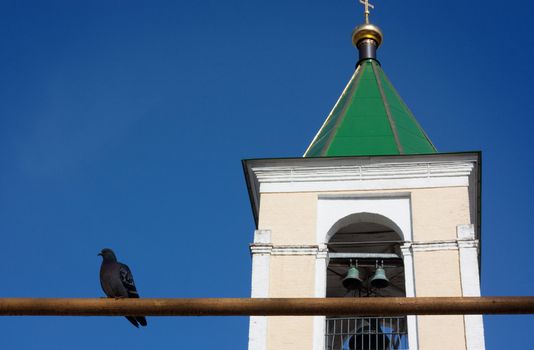 Black pigeon on a pole and the top of belfry