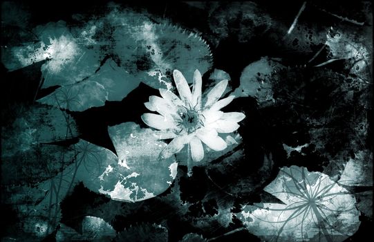 A Grunge Floral Decor Old Texture Background