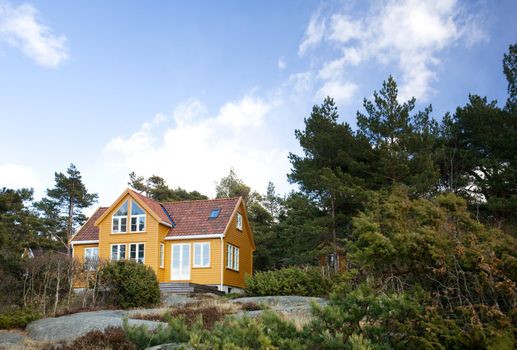 A fancy cabin in the forest on rocks