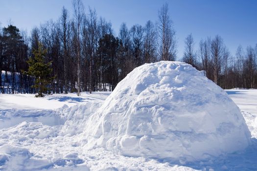 An igloo in a winter landscape