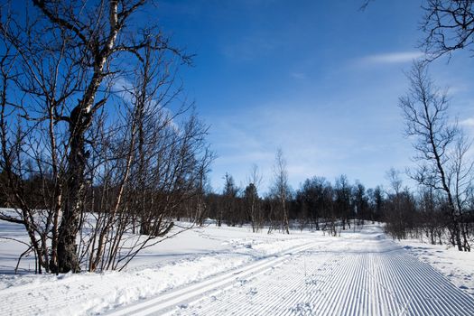 A freshly groomed cross country ski trail