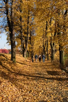 Walking along a path in fall