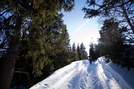 Cross Country skiing in the mountains