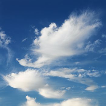 Wispy cloud formations against clear blue sky.