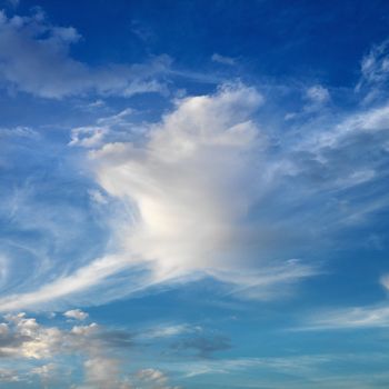 Wispy cloud formations against clear blue sky.