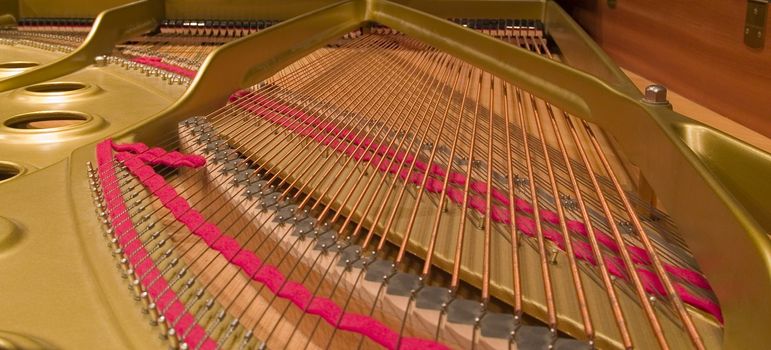 Interior shot of a 6 foot grand piano