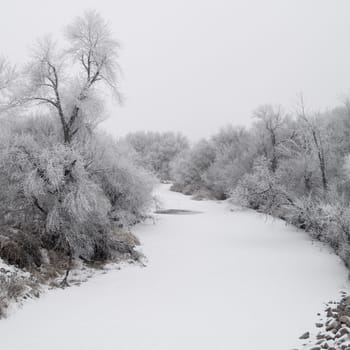 Frosted creek on a foggy December morning in South Dakota