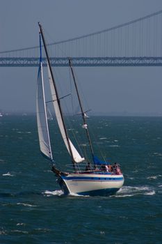 Yatch sailing on San Francisco bay in sunny sumer day.