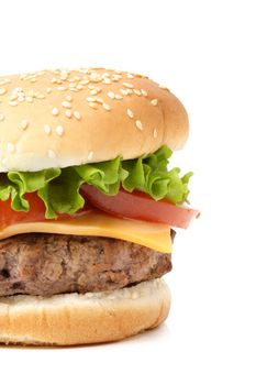 closeup on burger, white background