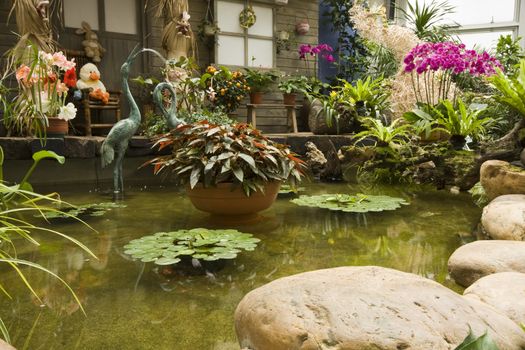  beautiful indoor garden of colorful flowers in spring 
