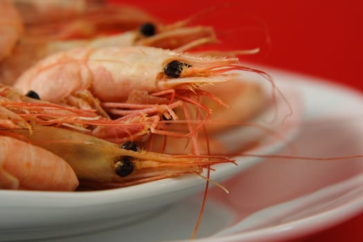 closeup on fresh whole prawns in it shell ready to eat