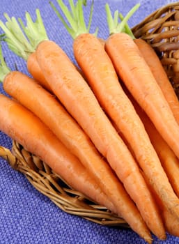 fresh carrots in a wicker basket