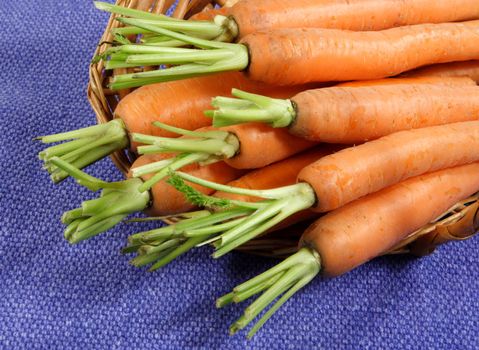 fresh carrots in a wicker basket