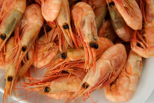 fresh whole prawns in it shell ready to eat