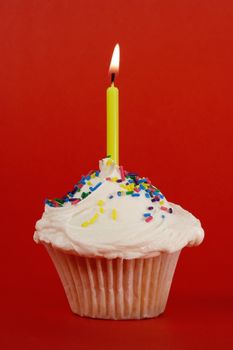 fresh homemade cupcakes with candle