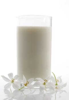 glass of milk and white flower isolated on white