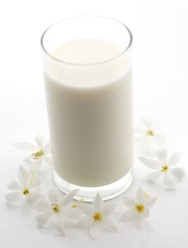 glass of milk and white flower isolated on white