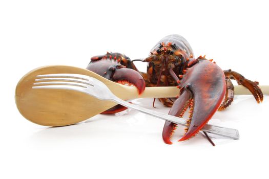 alive lobster holding spoon and fork