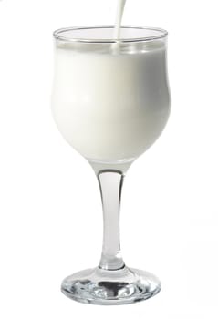 pouring some fresh milk in a wine glass, isolated on white