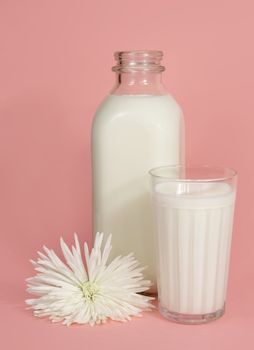 bottle and glass of milk on pink background