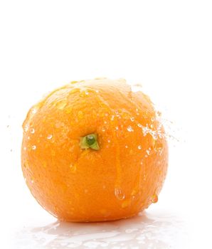 fresh orange fruit with water drops